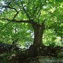 DSC00744
