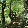 DSC00745