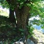 DSC00748