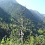 DSC00751