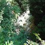 DSC00752