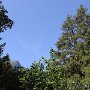 DSC00757