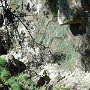 DSC00759