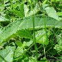 DSC00762