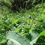 DSC00765