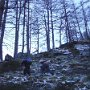 DSC00006