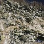 DSC00022
