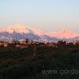 IMG_2707.JPG