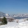 IMG_2710.JPG