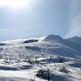 IMG_2711.JPG