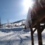 IMG_2712.JPG