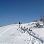 IMG_2713.JPG