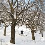 IMG_2315.JPG