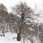 IMG_2323.JPG