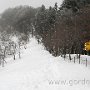 IMG_2330.JPG