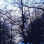 Foio3-08.JPG
