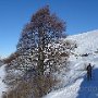 Foio3-09.JPG