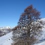 Foio3-10.JPG