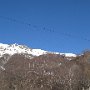 IMG_2668.JPG