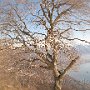 IMG_2672.JPG