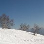 IMG_2678.JPG