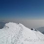 IMG_2687.JPG