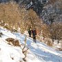 IMG_2397.JPG