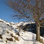 IMG_2399.JPG