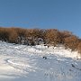 IMG_2403.JPG