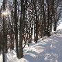 IMG_2407.JPG