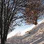 IMG_2409.JPG