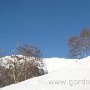 IMG_2411.JPG