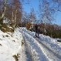 DSC00139.JPG
