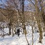 DSC00136.JPG