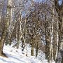DSC00137.JPG