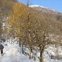 DSC00142.JPG