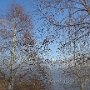 DSC00143.JPG