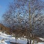 DSC00144.JPG