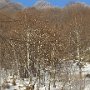 DSC00145.JPG