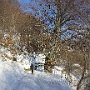 DSC00146.JPG