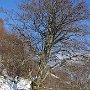 DSC00147.JPG