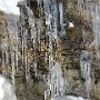 DSC00148.JPG