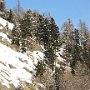 IMG_2368.JPG