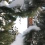 IMG_2371.JPG
