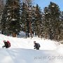 IMG_2372.JPG