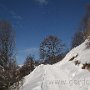 IMG_2476.JPG