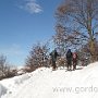 IMG_2478.JPG
