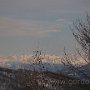 IMG_2482.JPG
