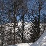 IMG_2483.JPG