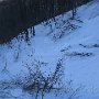 IMG_2485.JPG